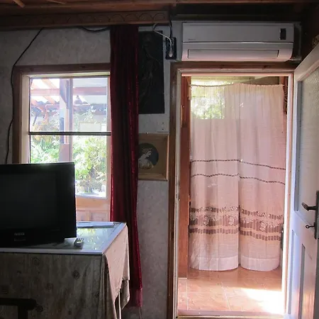 Diana Veliko Tărnovo