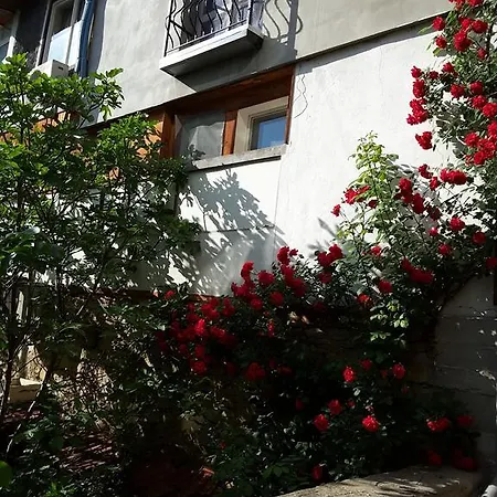 Affittacamere Diana Veliko Tărnovo