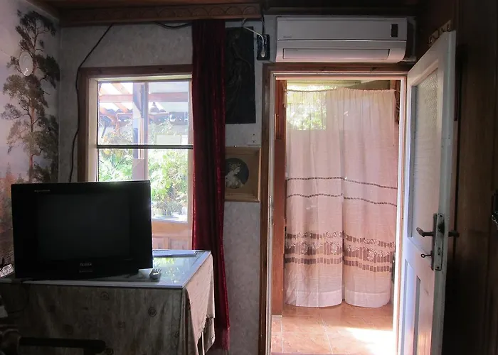 Diana Veliko Tărnovo