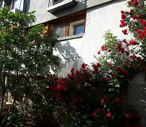 Pensiune Diana Veliko Tărnovo